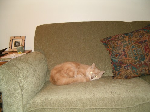 Day of the Dead - Jake